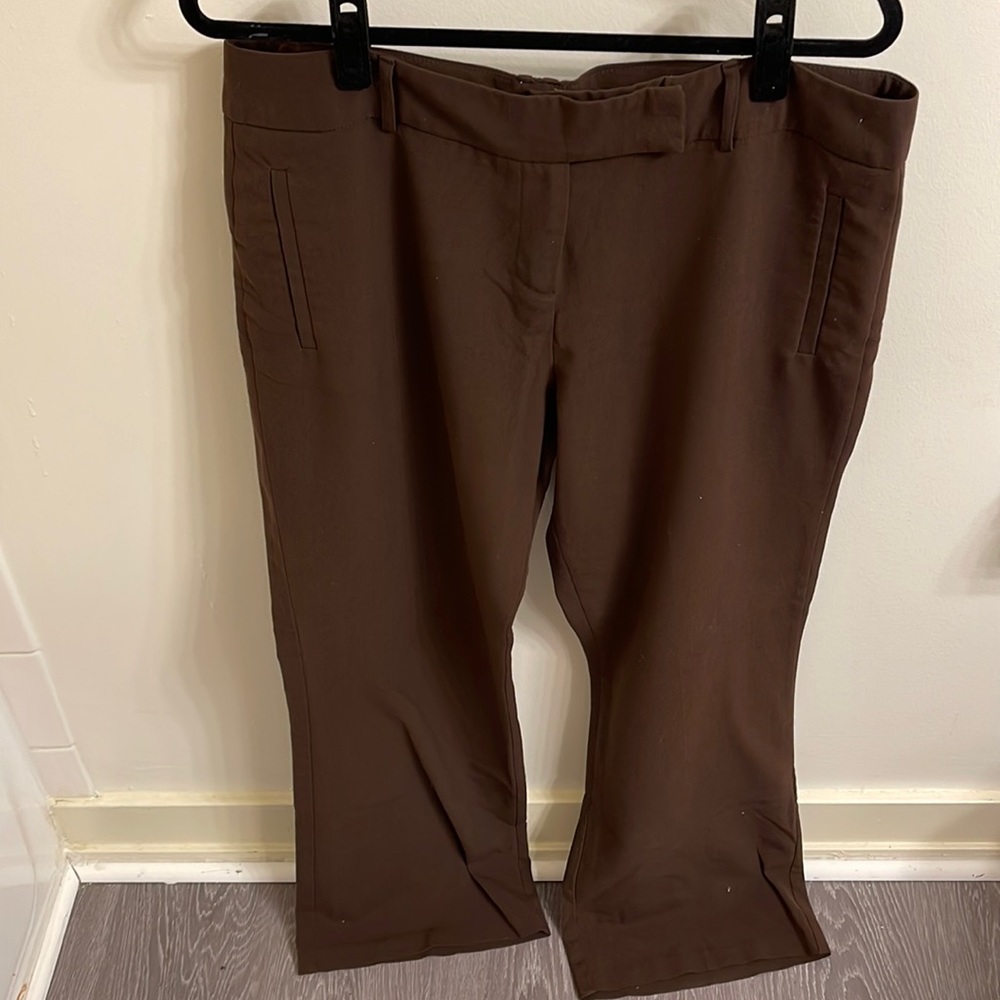 Chelsea Taylor Pants Size 14 Color Brown